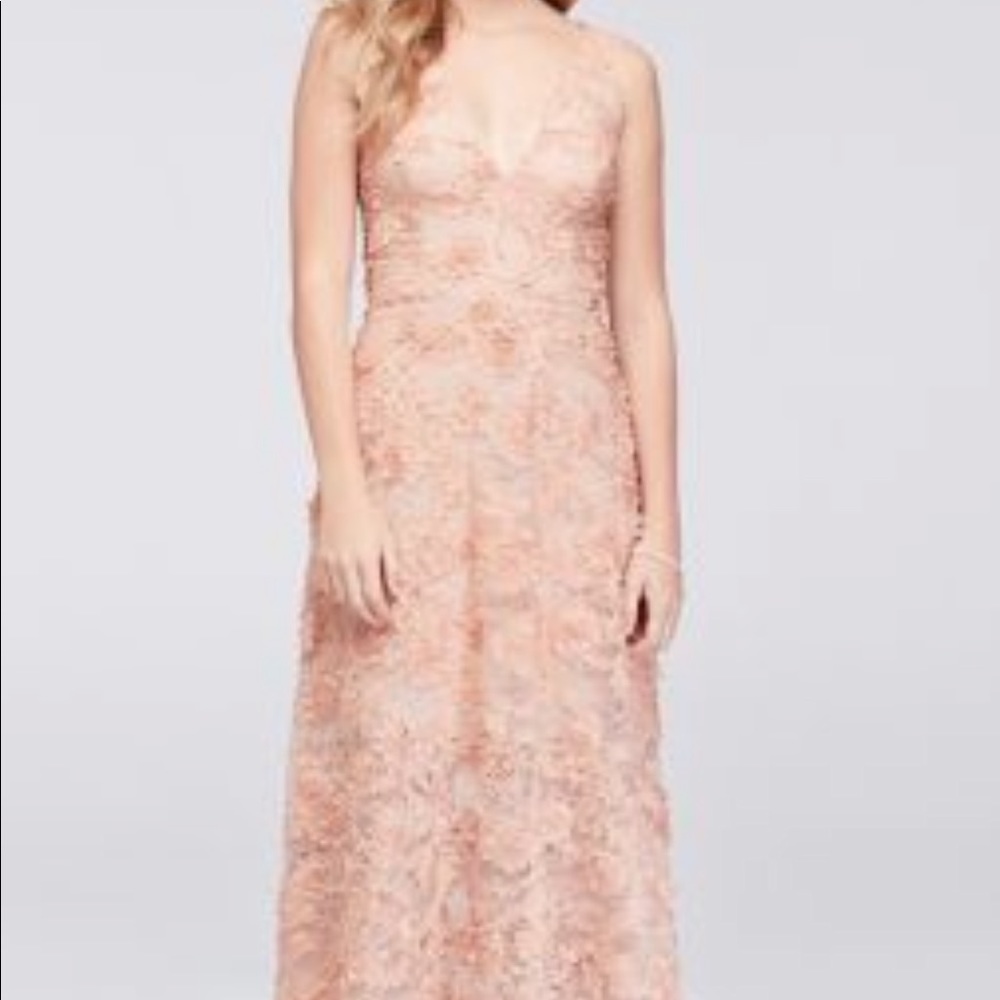 3D Floral Applique Lace A-Line Gown (Blush color)